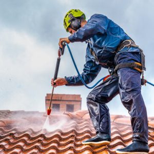 roofing cleaning